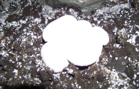 LostFile_JPG_637495296