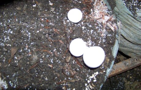 LostFile_JPG_637550592